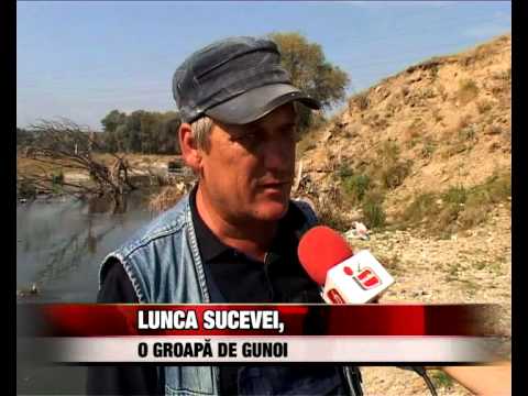 LUNCA SUCEVEI O GROAPA DE GUNOI