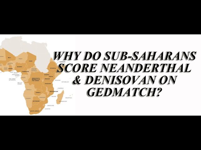 Ethiopian Mota - Why Do Sub-Saharan's Score Neanderthal & Denisova On GEDMatch?