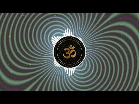 Filteria - 4 Stages Of Life