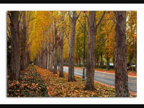 Gọi tên anh Sheet - Ý Lan