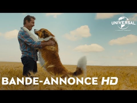 Mes autres vies de chien Universal Pictures International France