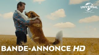 Mes Autres Vies de Chien Film Trailer