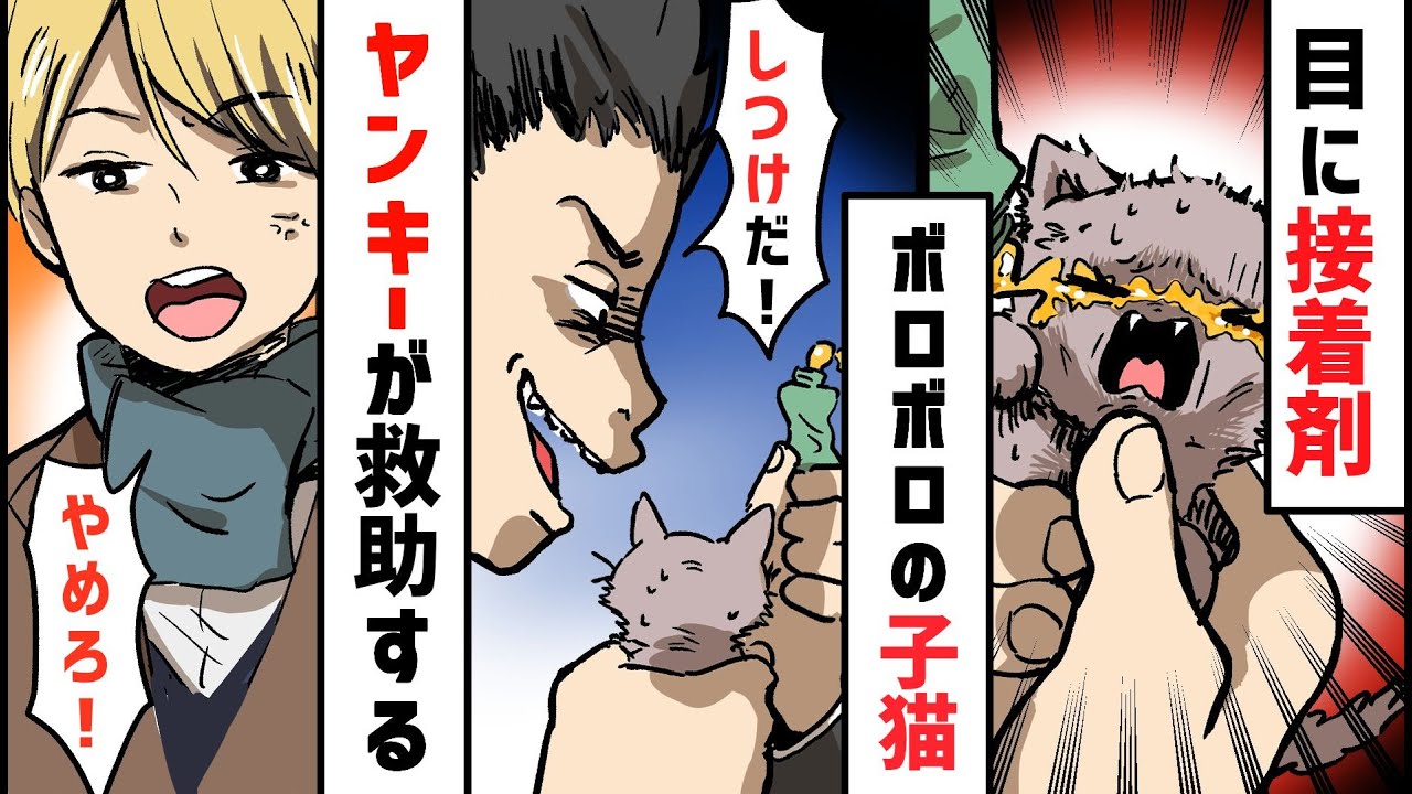 目に接着剤・・・DQNヤンキーにボロボロにされる子猫→「やめろ！！」→別のDQNヤンキーが助けた結果…＜ マンガ動画 ＞【タイスケの動物感動日記】