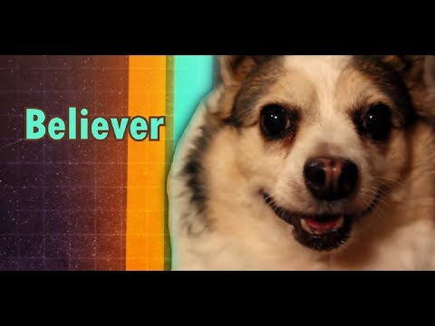 Imagine Doggos - Believer