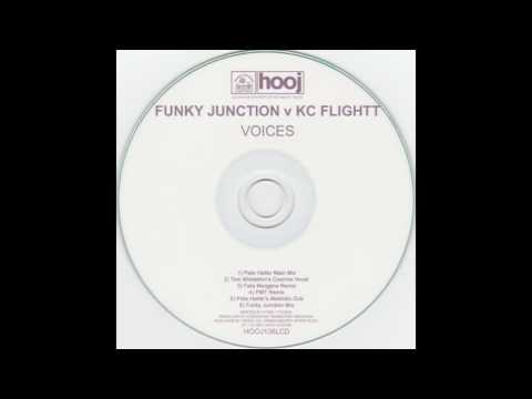 KC Flightt vs. Funky Junction - Voices (Tom Middleton's Cosmos Instrumental)