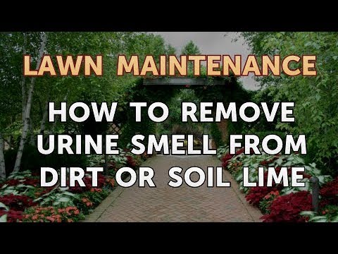 How to Remove Urine Smell From Dirt or Soil Lime