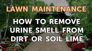 How to Remove Urine Smell From Dirt or Soil Lime