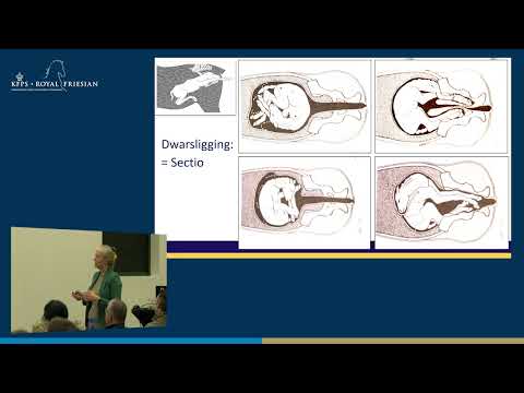 HK 2026 – Geboorteproblemen bij het Friese paard: herkenningm voorkomen en op/verlossen. | Drs. Berit Boshuizen