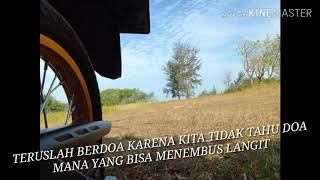 Download lagu Story wa lagu mardua holong mp3