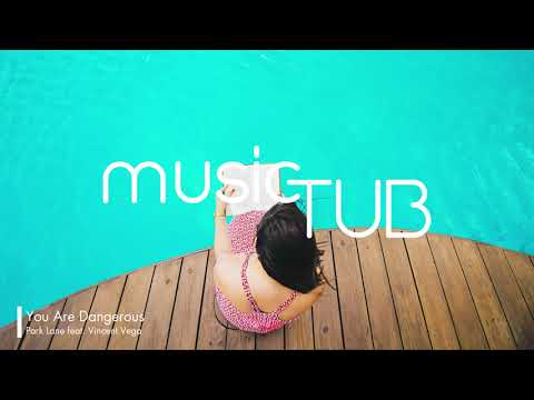 You Are Dangerous - Park Lane feat. Vincent Vega [Soul Music]