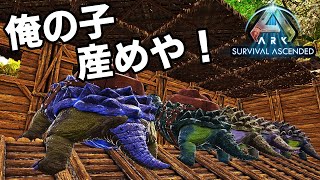 【ASA 実況】第7話 キブルのため卵が欲しい【ARK: Survival Ascended】