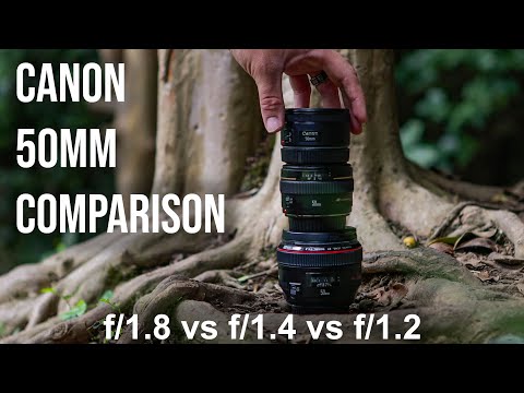 Canon 50mm lens comparison f/1.8 vs f/1.4 vs f/1.2