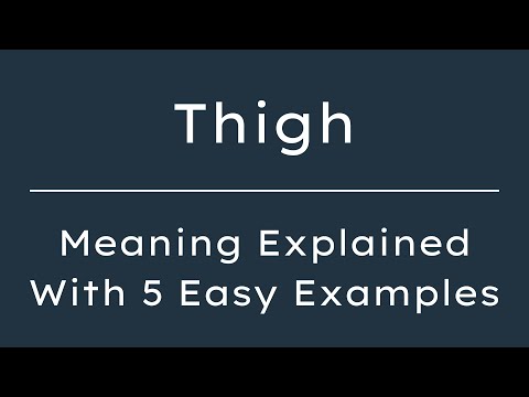 What Does Thigh Mean? Thigh Meaning in English With 5 Example Sentences