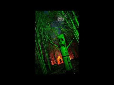 [FREE] NASCAR ALOE x TRIPLESIXDELETE TYPE BEAT - "HEALER" (prod. pr0udbeats x prod. PUZZLE)