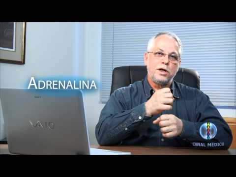 Desejo sexual  -  Disfunção Erétil 2/16