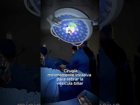Crissel Cardona-12
