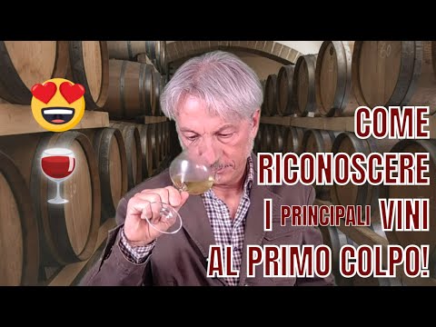 COME RICONOSCERE I PRINCIPALI VINI AL PRIMO COLPO! (senza leggere l'etichetta)