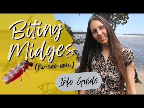 My Experience with Biting Midges (No-see-ums) With Tips and Info to Help Prevent Bites