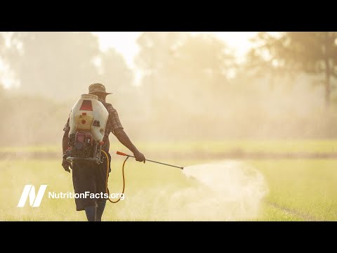 Do Vegetarians Get Enough Protein