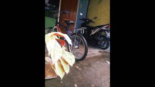 Download lagu Story wa lestari 30 detik mp3