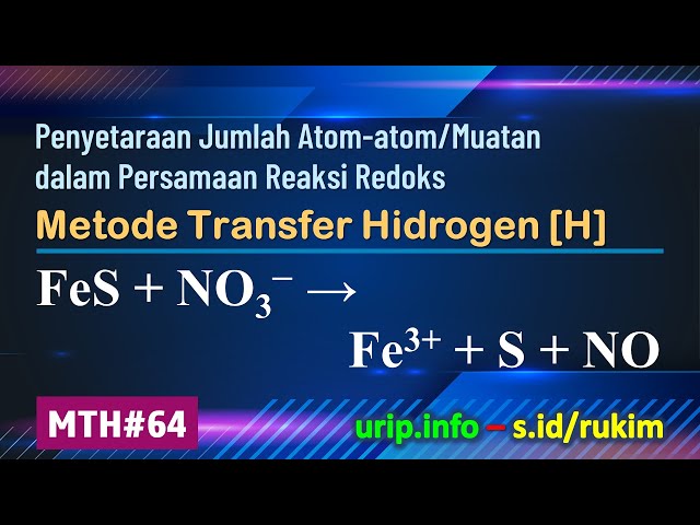 MTH, Reaksi Redoks: FeS + NO3– → Fe3+ + S + NO  (MTH-64)