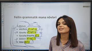 Download lagu Azərbaycan dili I Feilin Qrammatik Məna Növləri I Fidan İsgəndərova mp3