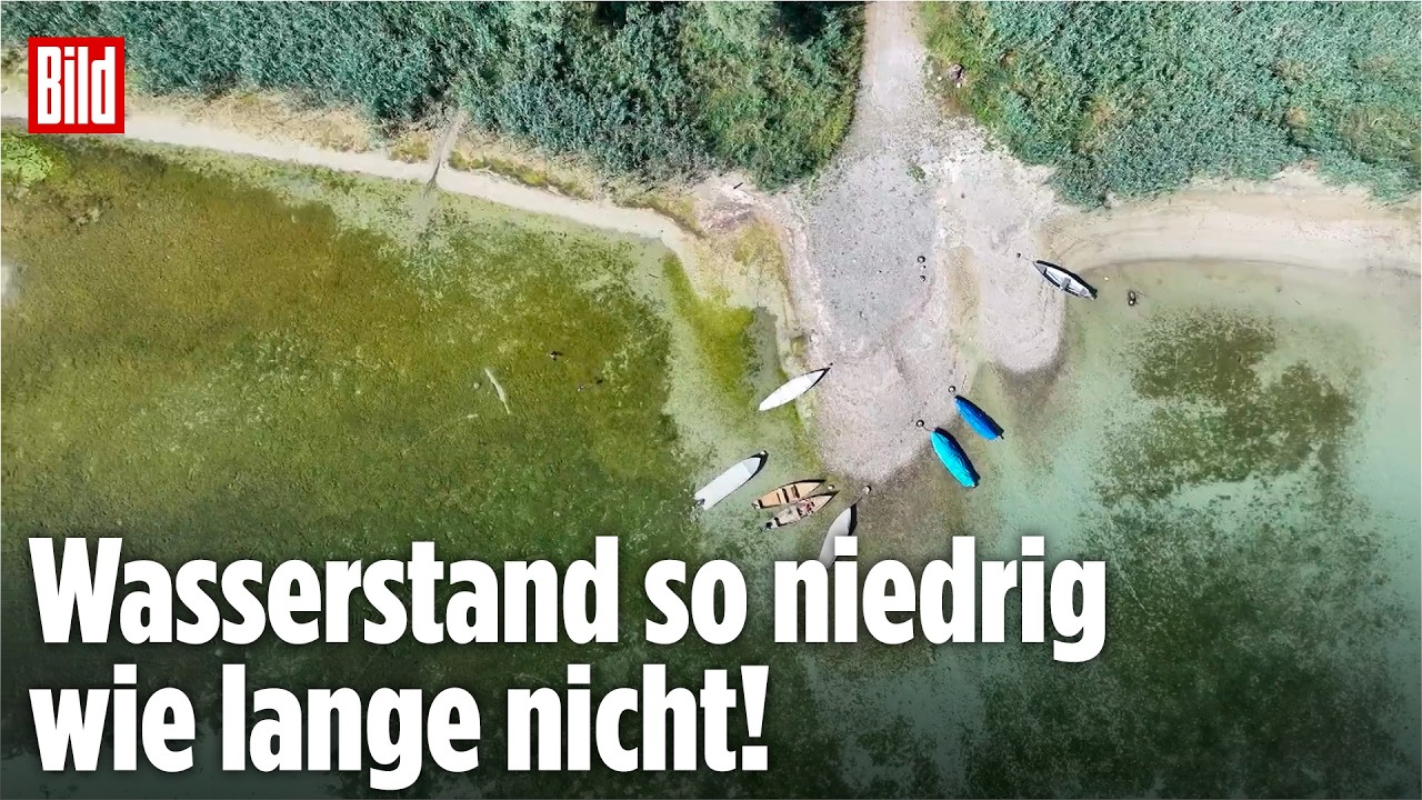 Bodensee fast am Boden: Dürre lässt den See schrumpfen!