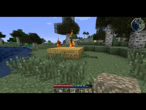 Terrafirmacraft SMP - S4E1 - New Friends