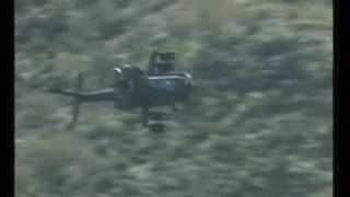 WAR HEAD FACE - Despised Icon - Sheltered Reminiscence