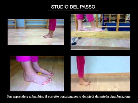 Descrivere sintopia aorta discendente toracica Fisioterapia borsite dellarticolazione del ginocchio