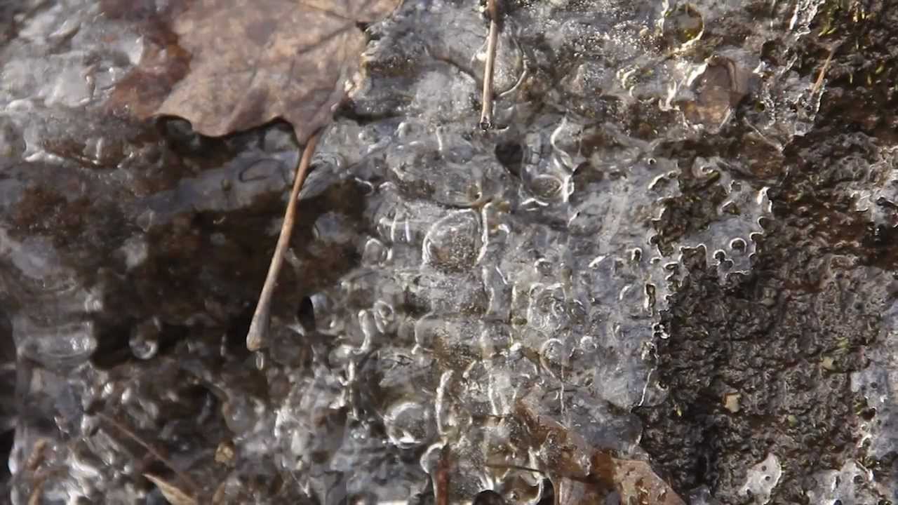" Ice so blue" Original film