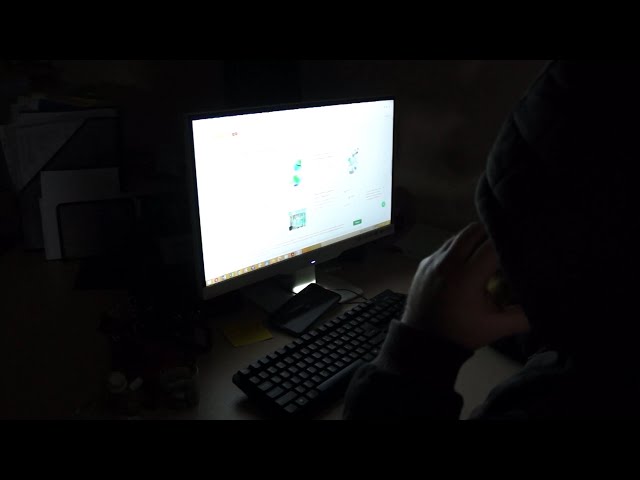 Житель Нижнего Новгорода попался на уловку мошенников