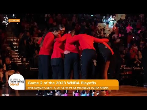 2023 WNBA Playoffs