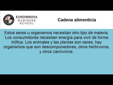 Cursos Youtube Online Euroinnova