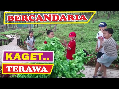 bushman-prank-the-forest-prank-manusia-pohon