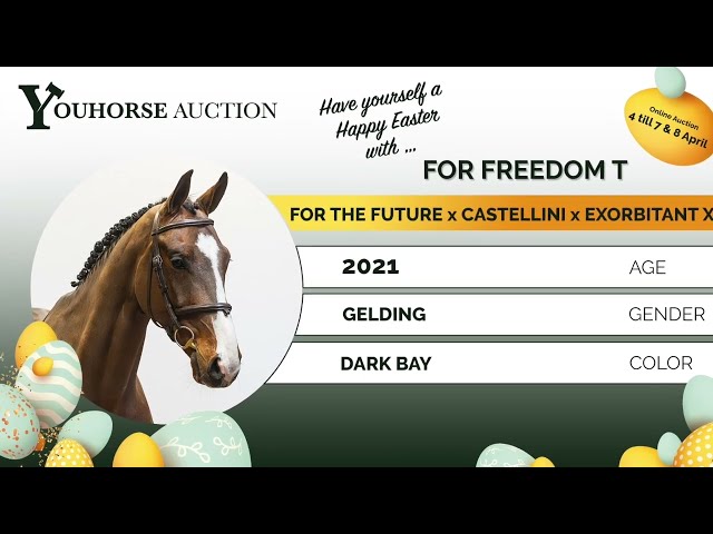 For Freedom T showvideo