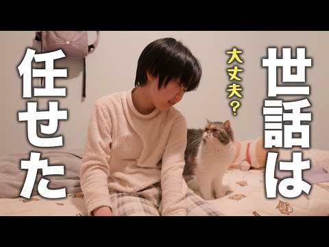 【感動】冬休みの間預かった猫のお世話をすちおにお任せしたら