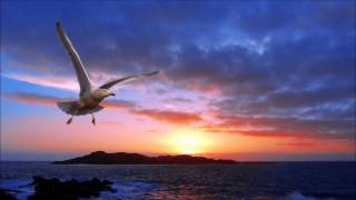 Will Holland pres. Holla - Melodica (Original mix)