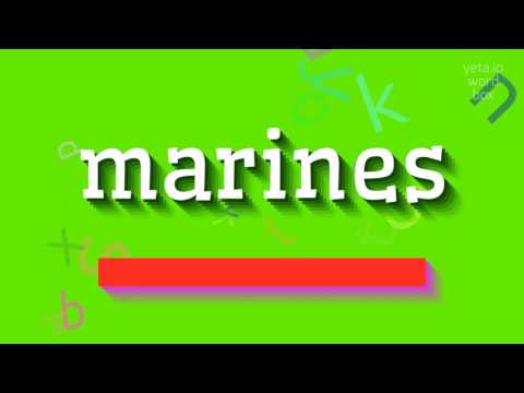 MARINES - HOW TO PRONOUNCE MARINES? #marines