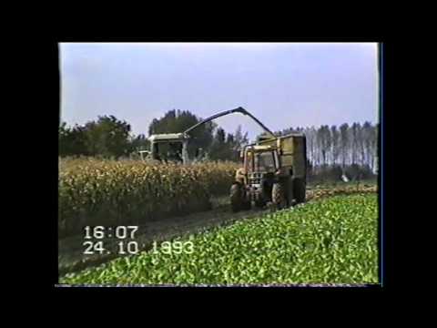 Loonw. Provost A & E -  Erembodegem