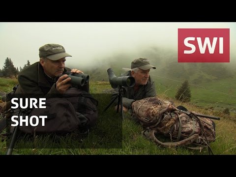 Marksmanship training for hunters