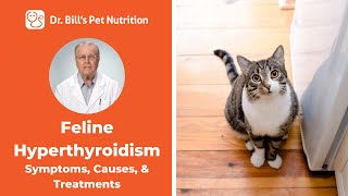 Feline Hyperthyroidism | Causes & Symptoms | Dr. Bill