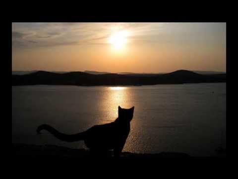 The Rasmus - In the shadows (Reemckord mix)