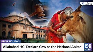 Allahabad HC: Declare Cow as the National Animal