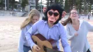 Peter Music - Wake Me Up Parody (in Sydney)