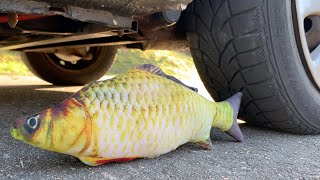 Download lagu EXPERIMENT: CAR VS BIG FISH mp3 Download lagu EXPERIMENT: CAR VS BIG FISH mp3