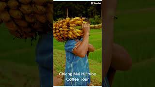 Download lagu Photo by Ryan Thank you very much 😊😊. #chiangmaitour #chiangmai #chiangmaicoffeetour mp3