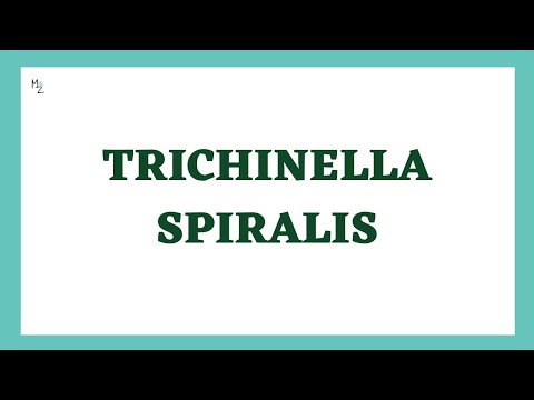 Medical Parasitology Course | Protozoa, Life Cycles & Infectious Diseases