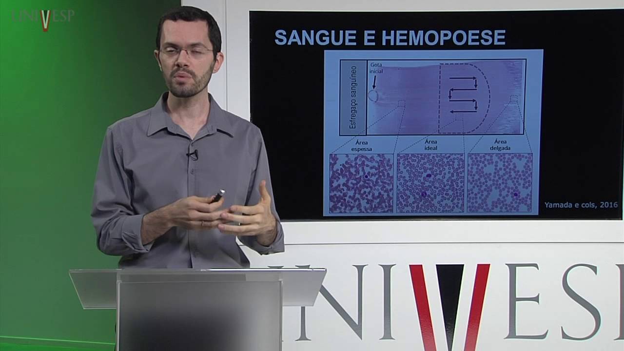 Células e Tecidos - aula 22 -  Biologia do tecido conjuntivo: sangue e hemopoese