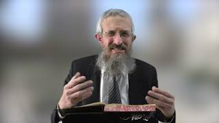מסכת סנהדרין דף צה - 8 דקות של לומדות ועמקות בדרך הלימוד הישיבתית [sanhedrin 95]